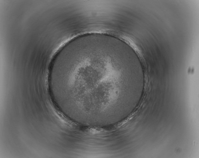 X0000090760346200707201508