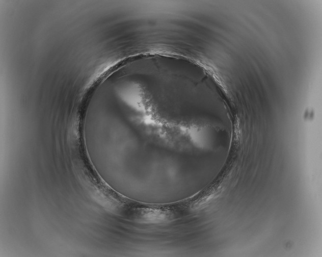 X0000090760347200707201508