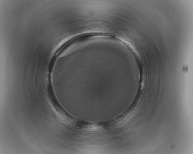 X0000090760348200707201508