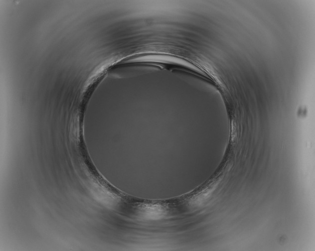 X0000090760349200707201508