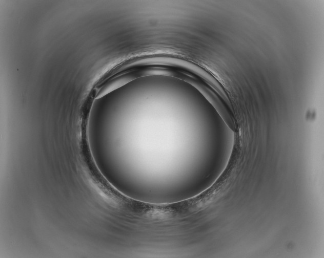 X0000090760350200707201508