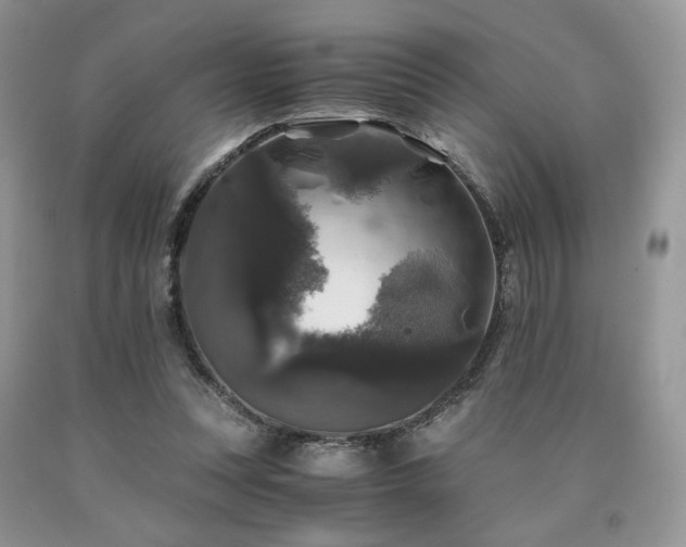 X0000090760351200707201508