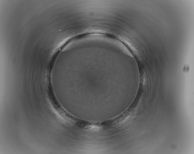 X0000090760352200707201508