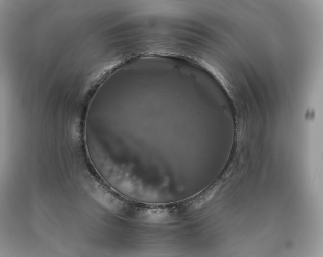 X0000090760353200707201508