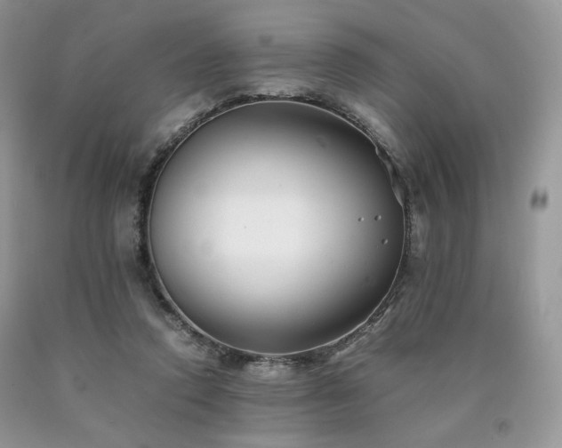 X0000090760354200707201508