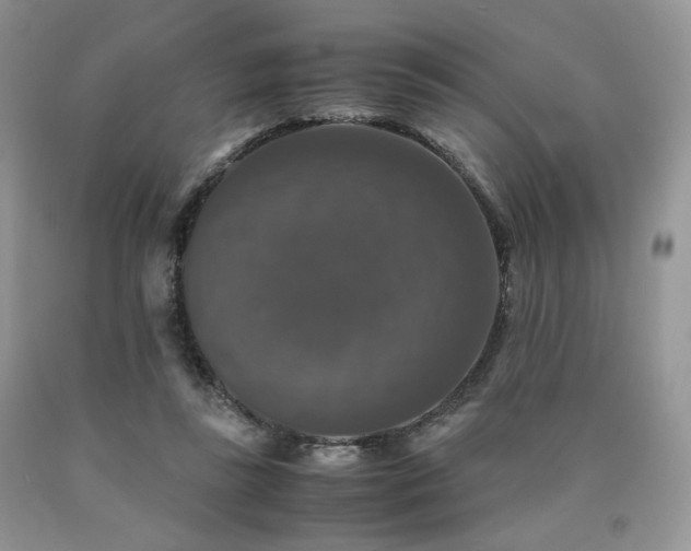 X0000090760355200707201508