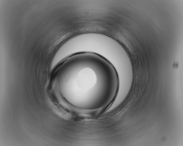 X0000090760356200707201508