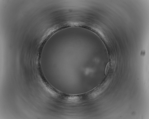 X0000090760357200707201508