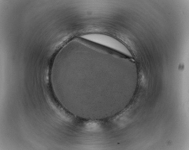 X0000090760358200707201508