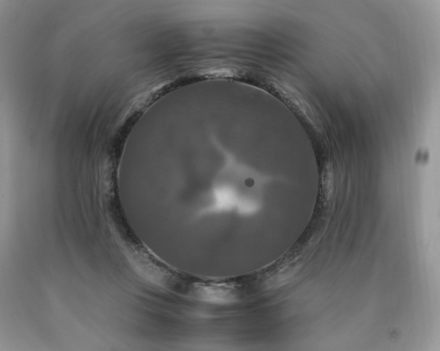 X0000090760359200707201508