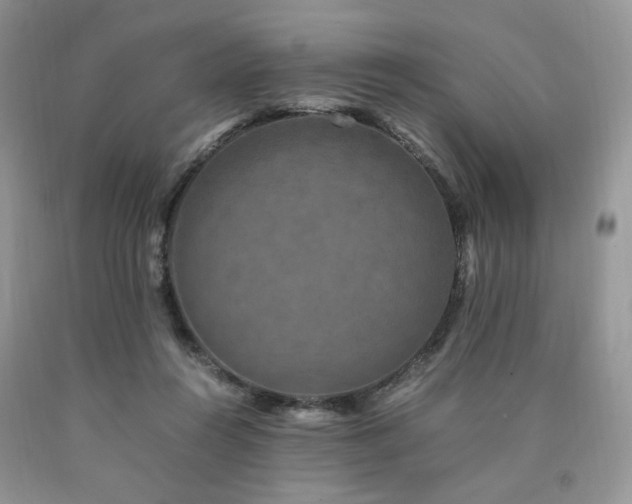 X0000090760360200707201508