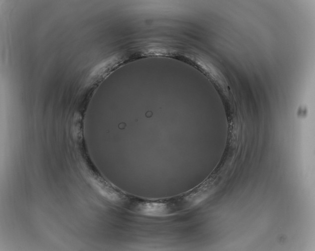 X0000090760361200707201508