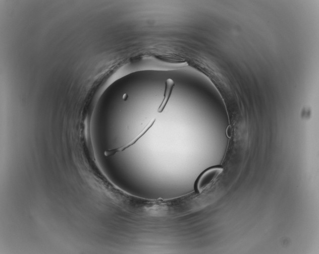 X0000090760362200707201508