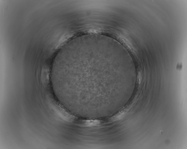 X0000090760363200707201508