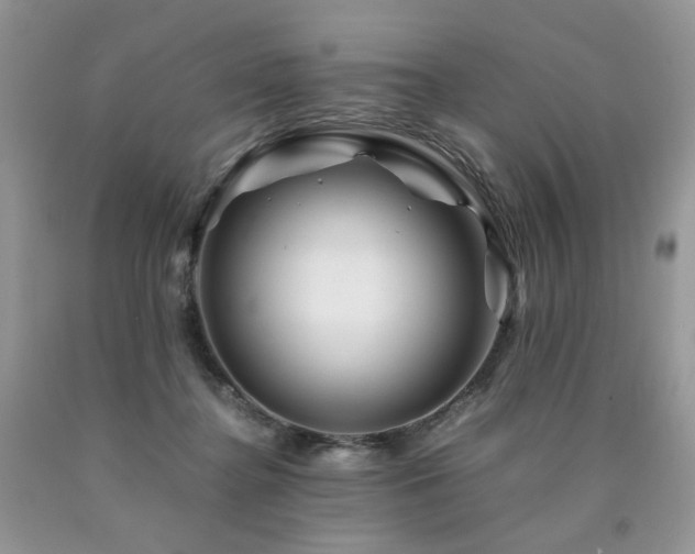 X0000090760364200707201508