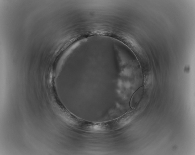 X0000090760365200707201508