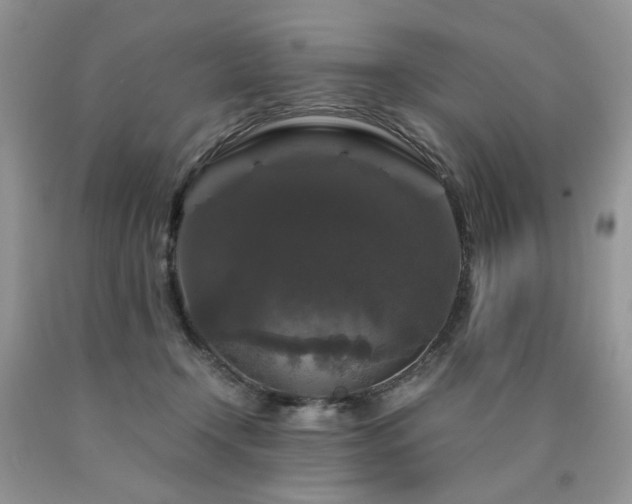 X0000090760366200707201508