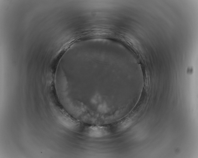 X0000090760367200707201508