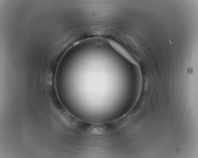 X0000090760368200707201508