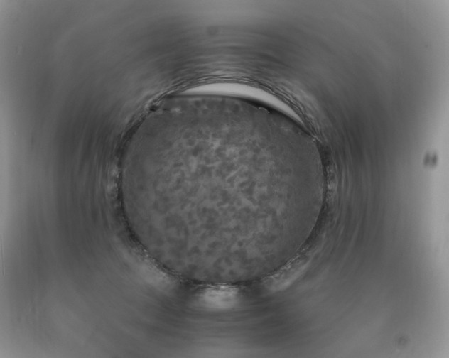 X0000090760369200707201508