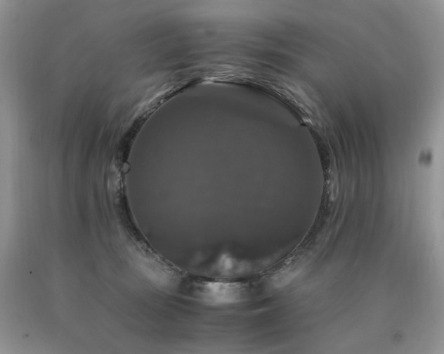 X0000090760371200707201508