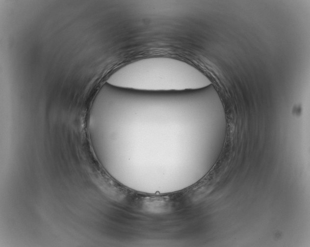 X0000090760373200707201508