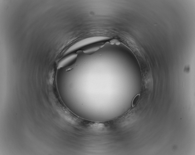 X0000090760374200707201508