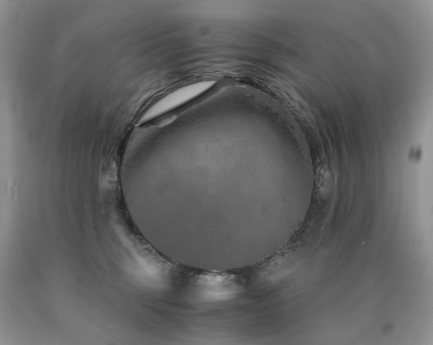 X0000090760375200707201508