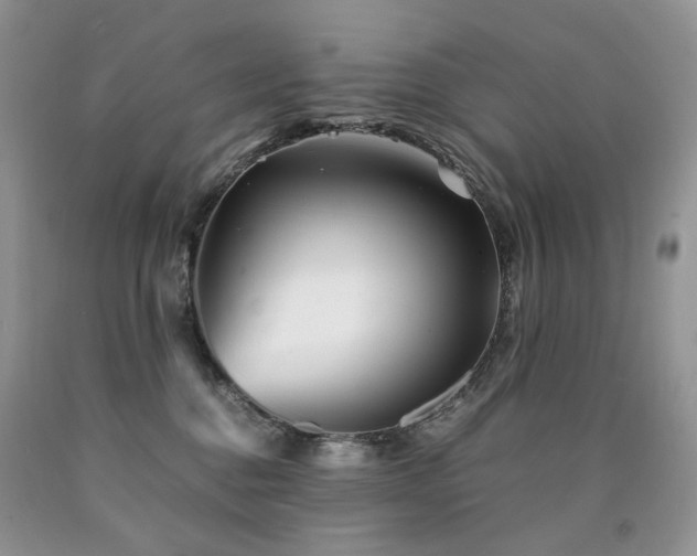 X0000090760376200707201508