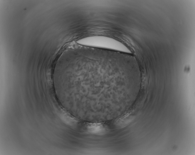 X0000090760377200707201508