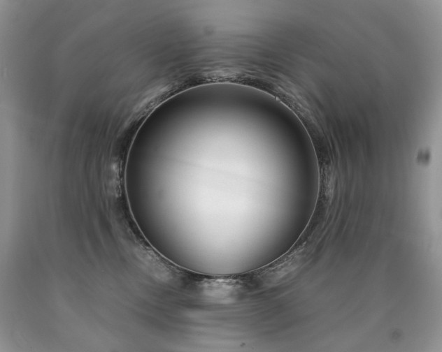 X0000090760378200707201508