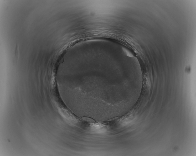 X0000090760380200707201508