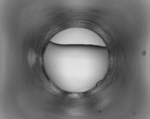 X0000090760381200707201508