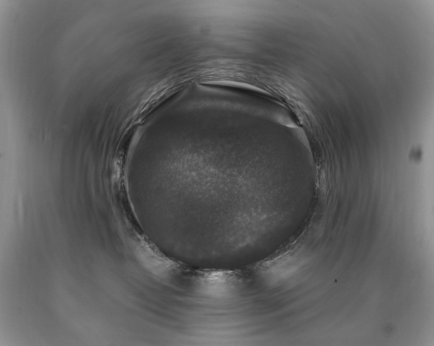 X0000090760382200707201508