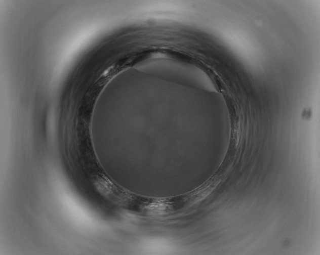 X0000090760383200707201508