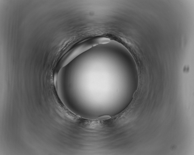 X0000090760384200707201509