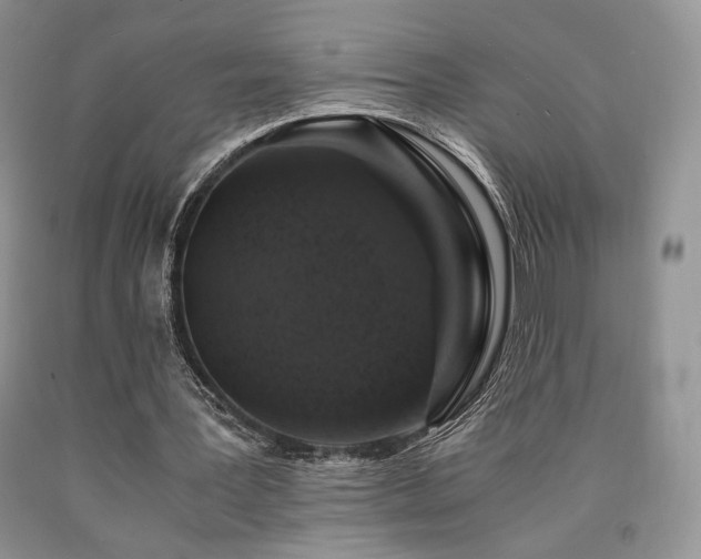 X0000090760387200707201508