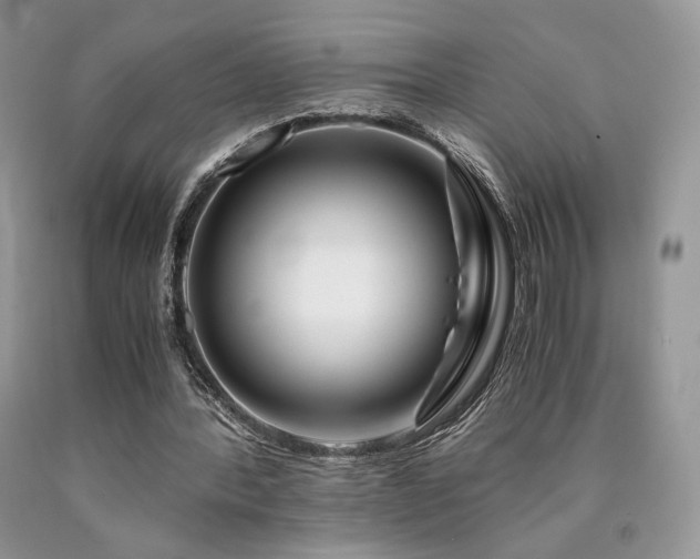 X0000090760388200707201508