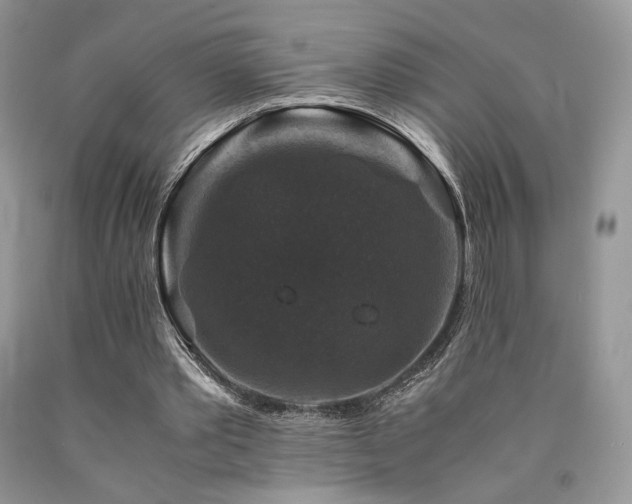 X0000090760389200707201508