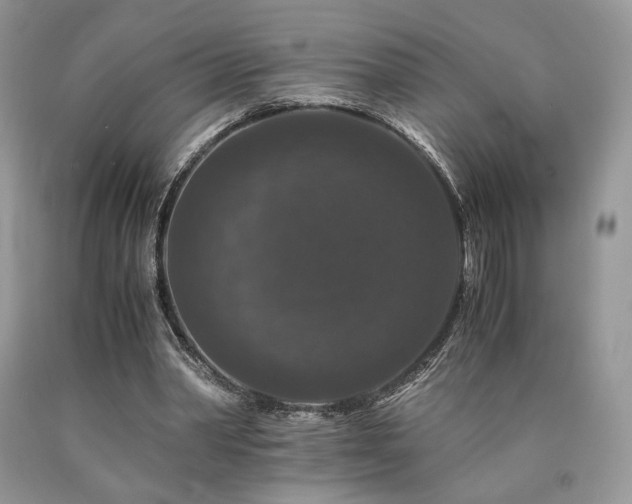 X0000090760390200707201508