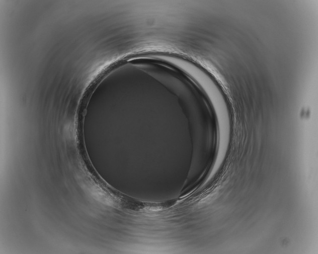 X0000090760391200707201508