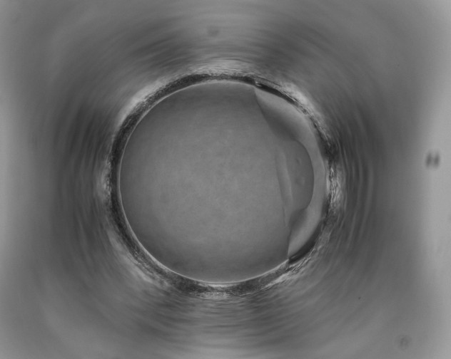 X0000090760392200707201508