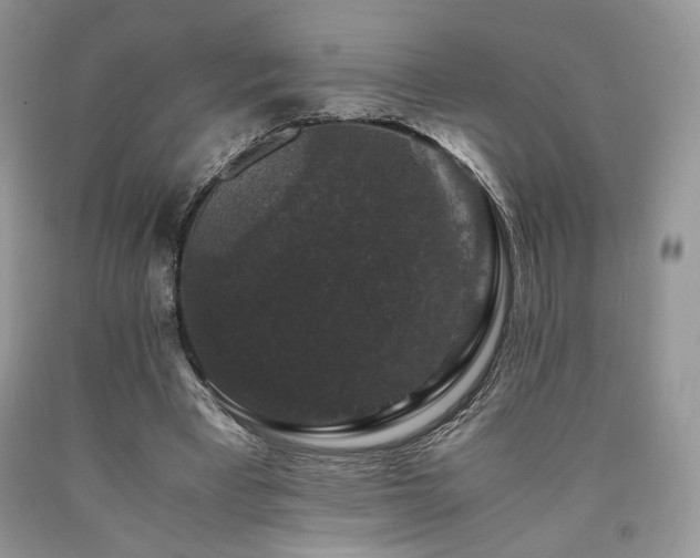 X0000090760393200707201508