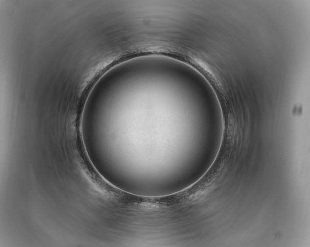 X0000090760394200707201508