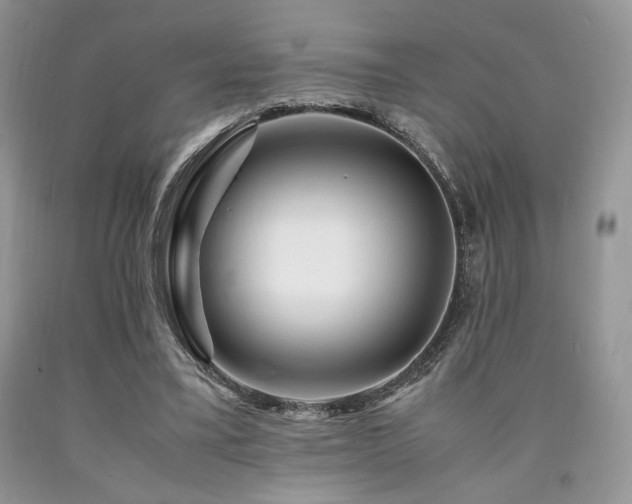 X0000090760395200707201508