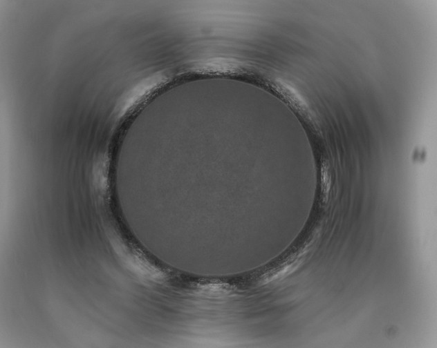 X0000090760396200707201508