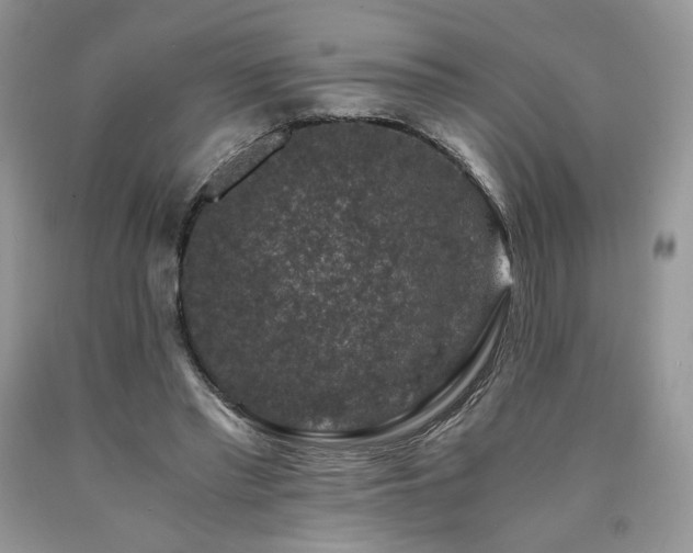 X0000090760397200707201508