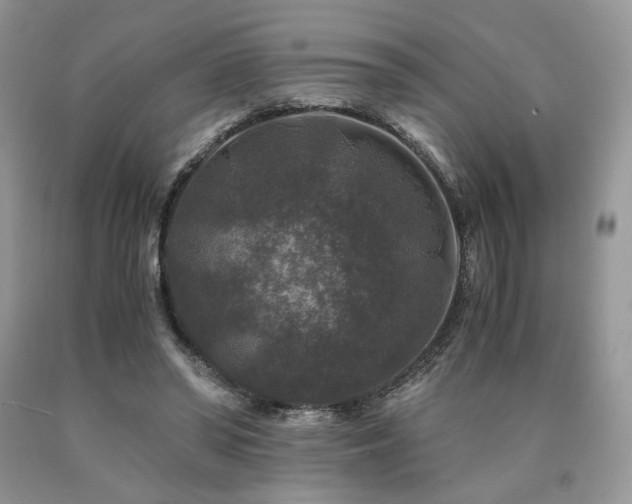 X0000090760398200707201508