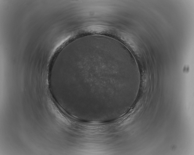 X0000090760399200707201508