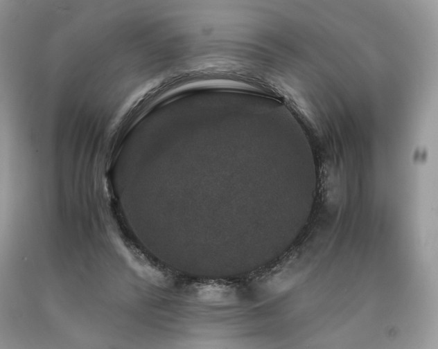 X0000090760400200707201508